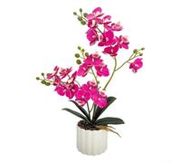 Planta artificial de orquídea Phalaenopsis realista para decoración del hogar, oficina, boda, plástico de bajo mantenimiento, larga duración, 41 cm, varios colores, arreglo elegante (D)