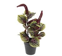 Planta Artificial de peperomia en Maceta Artificial de Color Lila con Flores de Seda, Planta Decorativa Grande para decoración