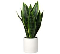 Planta Artificial de Serpiente con Maceta de cerámica Blanca, Plantas Artificiales en Maceta para el hogar, la Oficina, Plantas de imitación para decoración de Interiores y Exteriores, Planta Falsa