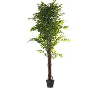 Planta Artificial de un ficus de PU en Verde 180x25x25 cm