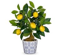 Planta artificial decorativa de limonero, 40 cm, planta de plástico en maceta, porcelana azul y blanca, plantas de interior artificiales con ramita de limón y frutas de limón para decoración del