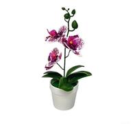 Planta artificial tipo bonsái de orquídea Phalaenopsis para sala de estar, dormitorio, oficina, escritorio, estante, decoración de mesa (morado manchado)