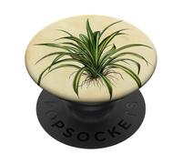 Planta de araña Ilustración científica Vintage PopSockets PopGrip Adhesivo