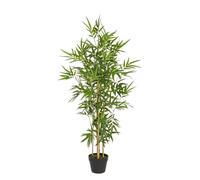 Planta de bambú C-Pot H130Cm