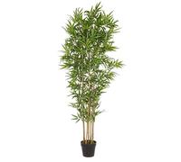 Planta de bambú C-Pot H185Cm
