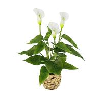 Planta de Calla en Cesta. Planta Artificial de Calla, Flores Blancas, Flores de plástico Falsas, decoración Artificial. Flores en Maceta, Ramo de Flores de Seda, Flores de zantedschia, Flores tribus