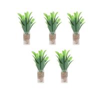 Planta de casa de muñecas en Miniatura Modelo de Casos de muñecas en Miniatura en Miniatura Muebles para el Escritorio de Casas Material de plástico de 100 mm de Altura 5 Piezas