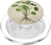 Planta De Dinero Chino Vintage Ilustración Científic PopSockets PopGrip para MagSafe
