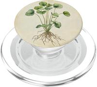 Planta De Dinero Chino Vintage Ilustración Científic PopSockets PopGrip para MagSafe