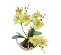 Planta de exhibición de orquídeas no vivas para el hogar Styling Cocina Isla Bar mostrador y ceremonia de boda Mesa Centro de mesa Aplicación (verde)