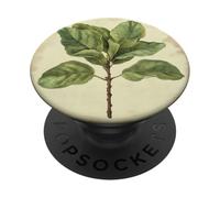 Planta de ilustración científica vintage de higuera de hoja de violín PopSockets PopGrip Adhesivo