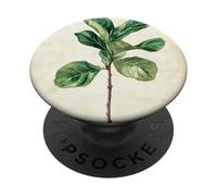 Planta de ilustración científica vintage de higuera de hoja de violín PopSockets PopGrip Adhesivo