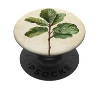 Planta de ilustración científica vintage de higuera de hoja de violín PopSockets PopGrip Adhesivo