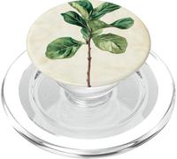Planta de ilustración científica vintage de higuera de hoja de violín PopSockets PopGrip para MagSafe