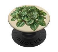 Planta de ilustración científica Vintage Peperomia PopSockets PopGrip Adhesivo