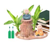 Planta de madera brasileña, madera brasileña, mi-ni-Glücksholz de Brasil, Brasil, madera de la suerte, madera de bambú de la suerte que brota mágicamente, planta de interior de escritorio de hielo