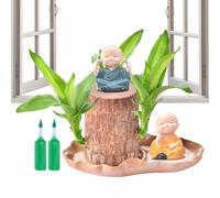 Planta de madera brasileña viva, pieza decorativa natural con figura, decoración del hogar con figura para cafetería, sala de estar, zonas de espera al aire libre, hotel, dormitorio, patio