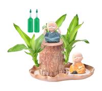 Planta de madera de Brasil, árbol brasileño, decoración del hogar con figura para cafetería, sala de estar, zonas de espera al aire libre, hotel, dormitorio, patio