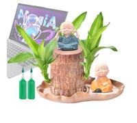 Planta de Madera de Brasil, Planta de Interior de Madera brasileña, de Escritorio con Figura para Patio, apartamento, Restaurante, Zonas de Espera, Cocina, Sala de Estar, Dormitorio, Hotel al