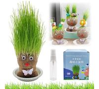 Planta De Muñeca con Cabeza De Hierba En Crecimiento, Planta Cabeza Hierba Que Crece En Macetas Bonsai Mini, Maceta De Cabeza De Muñeca, Muñeca con Cabeza Hierba, Plantas En Maceta para Niños