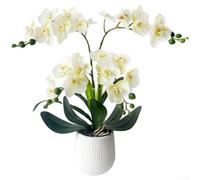 Planta de orquídea artificial con 24 cabezas de flores falsas realistas en maceta blanca para decoración del hogar y oficina, 18 x 17 pulgadas, morado, amarillo, rojo y rosa (verde blanco)