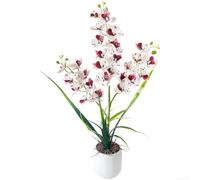 Planta de orquídea artificial con 27 flores, maceta blanca de 21 pulgadas | 27 flores de tela vívidas, altura total de 21 pulgadas, pétalos degradados realistas, no necesita riego, color duradero