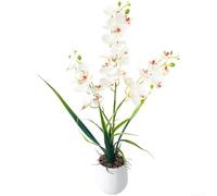 Planta de orquídea artificial con 27 flores, maceta blanca de 21 pulgadas | 27 flores de tela vívidas, altura total de 21 pulgadas, pétalos degradados realistas, no necesita riego, color duradero