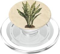 Planta de Serpiente Vintage ilustración científica Planta PopSockets PopGrip para MagSafe