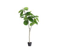 Planta de simulación de árbol Artificial Árbol de Tilo Artificial Nueva Hoja Ficus Planta en Maceta Tienda de Ropa Decoración Adornos Decorar (70 cm)