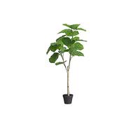 Planta de simulación de árbol Artificial Árbol de Tilo Artificial Nueva Hoja Ficus Planta en Maceta Tienda de Ropa Decoración Adornos Decorar (70 cm)