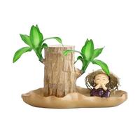 Planta de Suerte Brasileña De Madera Con Maceta De Hoja De Loto - Dracaena Hidropónica Exótica Para La Felicidad | Planta de Interior Purificadora De Aire Absorbe Formaldehído | Juego de Regalo