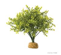 Planta De Terrario Exo Terra Buxo Para Reptiles Y Anfibios 30cm