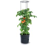 Planta de tomate Macetero Plantas Tomate 28L Maceta de tomate de jardín