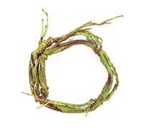 Planta de vid de simulación para reptiles, resistente al agua, rama trepadora para terrarios, paisajes, reptiles, jaula, accesorios