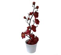 Planta decorativa en maceta de ciruelo sintético, planta artificial de 11 pulgadas con flores de tela y ramas de plástico para uso en interiores (rojo brillante)
