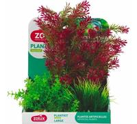 Planta decorativa Zolux