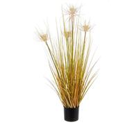 Planta Desierto Paja C-Pot X4F H90