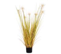 Planta Desierto Paja C-Pot X7F H120