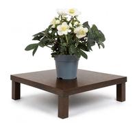 Planta Eléboro Negro para Decorar un Primer Piso DECOALIVE | Helleborus Niger, Planta Rosa de Navidad, Maceta 12 cm y Altura 30-35 Cn