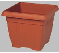 Planta en Florero Cuadro Similcotto L.50 x 50 X H 41CM conf.n.2