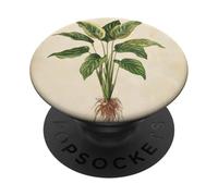 Planta Ilustración Científica Vintage Calathea PopSockets PopGrip Adhesivo