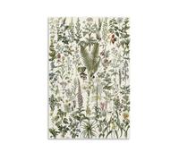 Planta medicinal, libro de larousse, póster de hierbas medicinales, arte de pared de flores vintage, arte botánico de pared, planta de bosque salvaje, póster botánico L1, póster de lienzo para