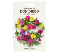 Planta Ornamental Don Diego para Jardinería en Maceta, Terraza o Exterior Soleado | DECOALIVE
