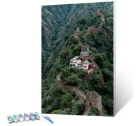 Planta Pintar por Numeros Adultos con Marco, Gran Muralla Pintar por Numeros Manualidades Adultos, DIY Paint by Numbers kits con Pinceles y Pinturas Acrílicas, Regalos Niñas, 100x135cm O-2872