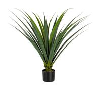 Planta Ruscaceae C-Pot 28Hojas H90Cm