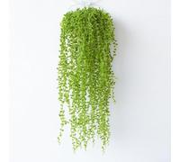 Planta suculenta colgante artificial, 80 cm, cuerda de lágrimas de plástico verde para decoración del hogar, bodas y accesorios de fotografía