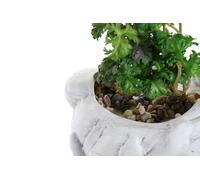 PLANTA TERRACOTA PVC 13,7X13,2X27,5 MUJER BLANCO