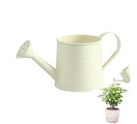Planta Watering Can 1L Long Spout Gardening Tool - Metal Watering Can for Flower Pots, Bonsai and Plants, ideal para decoración del hogar, jardín, yarda, lawn, patio, camino, uso al aire libre