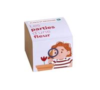 Planta y Descubrir | Partes de Una Flor | Kit Educativo Stem y Montessori | Aprende Botánica Paso a Paso | Experiencia con Plantas para Niños y Familias