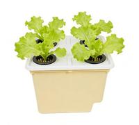 Plantador de cultivo hidropónico - contenedor de cultivo sin fondo, maceta hidropónica interior - para alféizar de ventana interior balcón exterior invernadero tomate pepino plántula